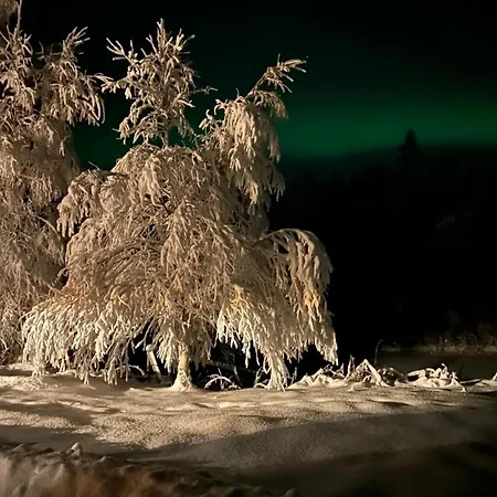 Finnland Tervola Polarlichter Santavillage Lapinniemi
